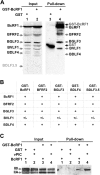 FIG 5