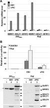 FIG 6