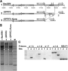 FIG 1