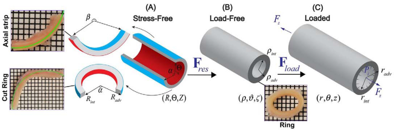 Figure 2: