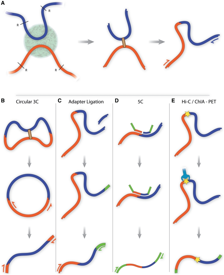 Figure 1: