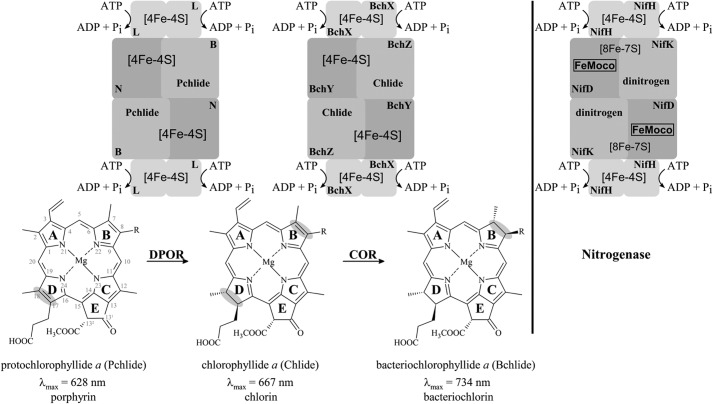 FIGURE 1.