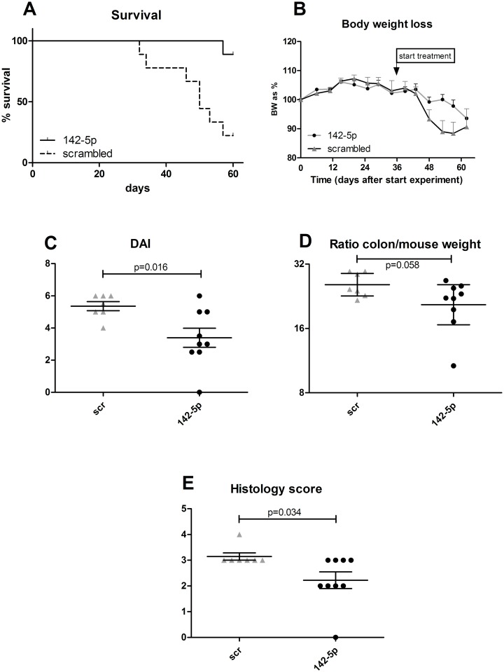 Fig 5