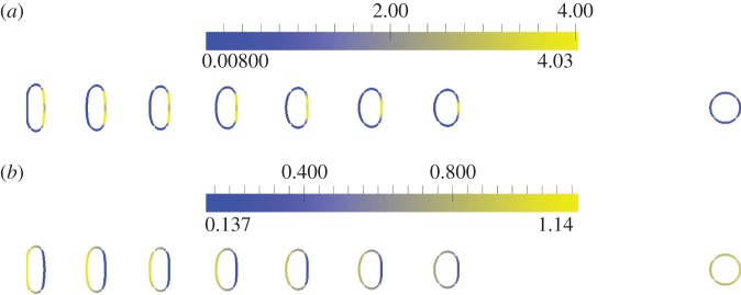 Figure 10.