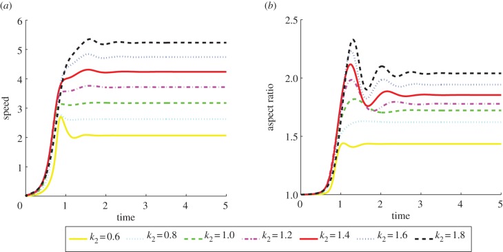 Figure 11.