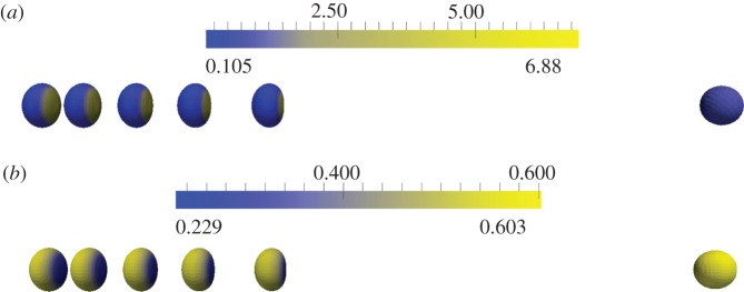 Figure 13.