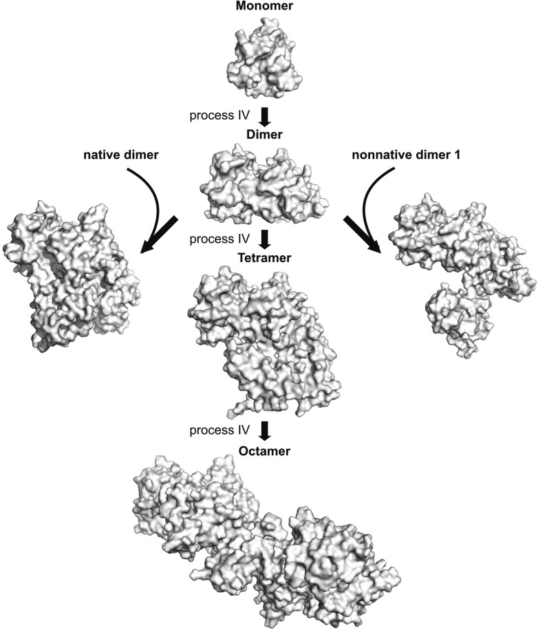 Figure 9—figure supplement 2.