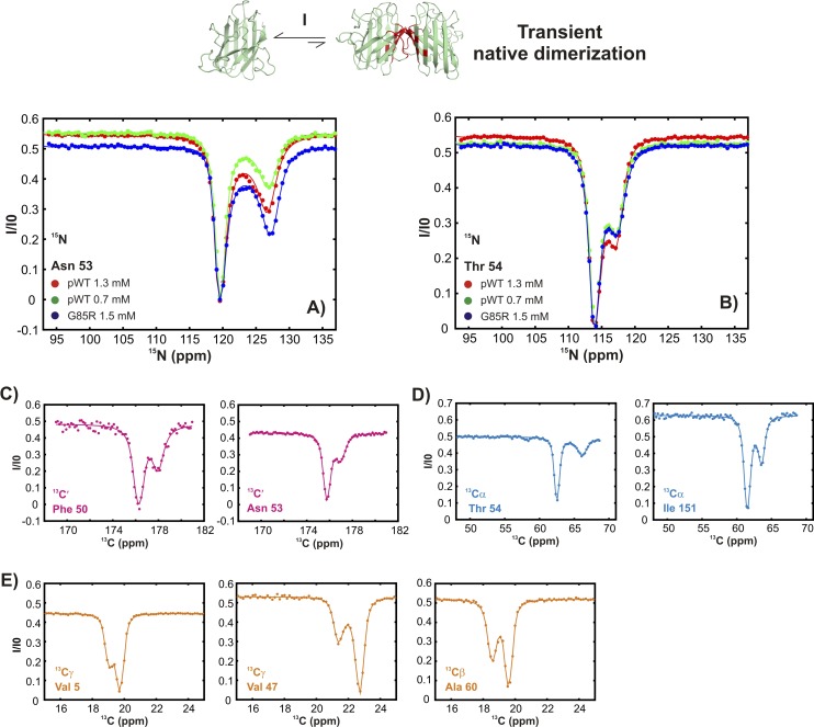 Figure 3—figure supplement 1.