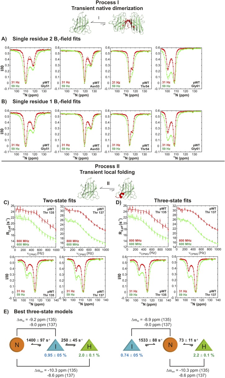 Figure 3—figure supplement 2.