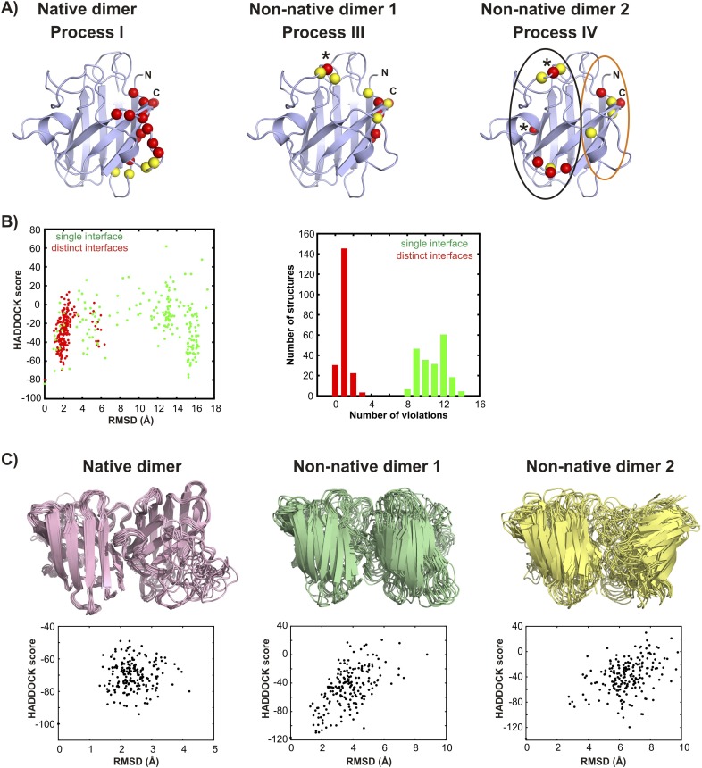 Figure 9—figure supplement 1.