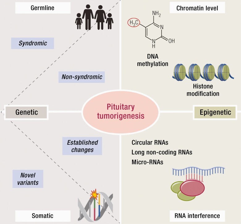 Graphical Abstract