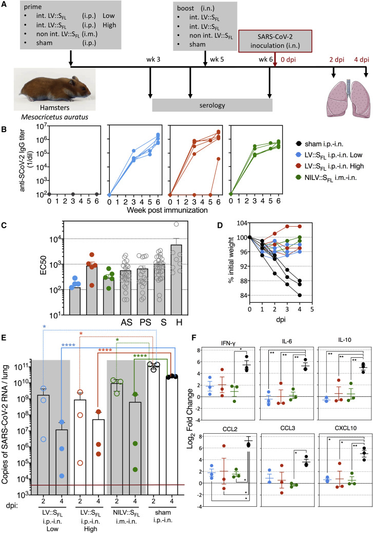 Figure 6