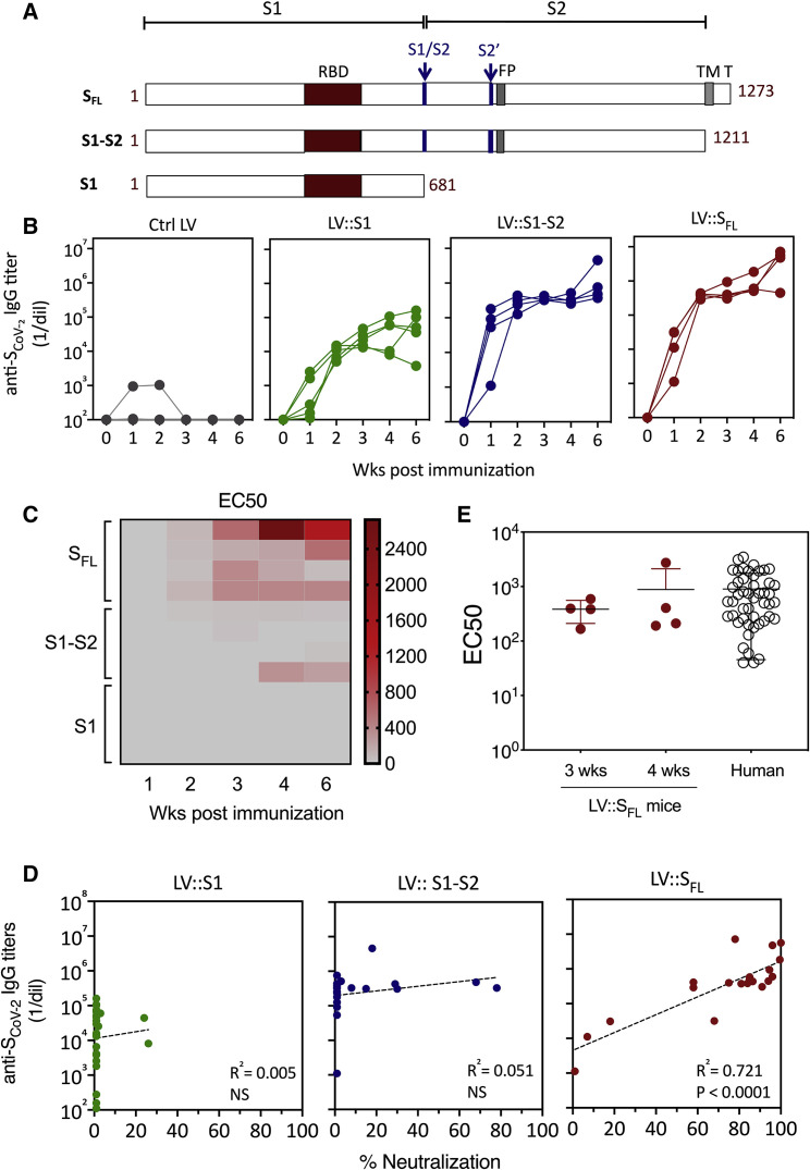 Figure 1