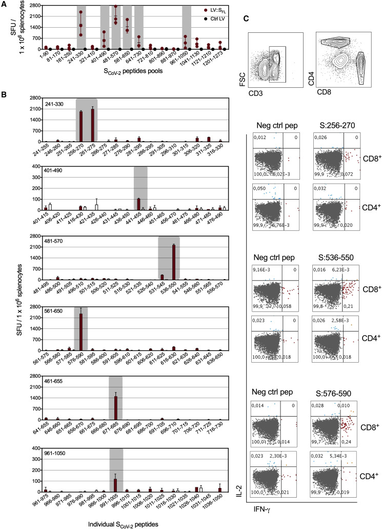 Figure 2