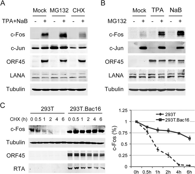 FIG 3