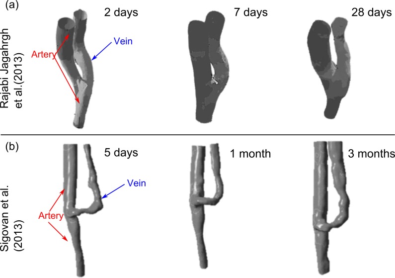 Fig 6