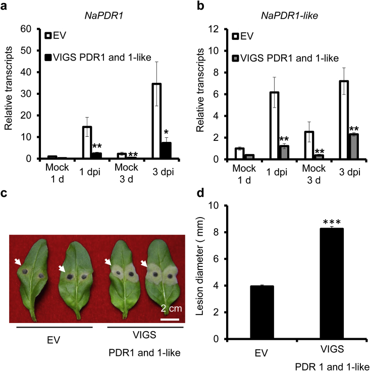 Fig. 3