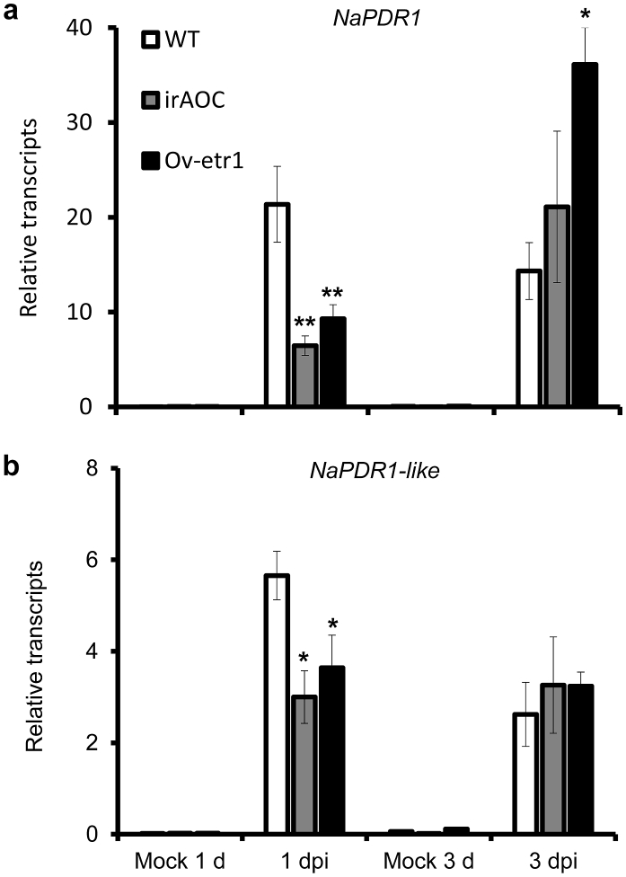 Fig. 6