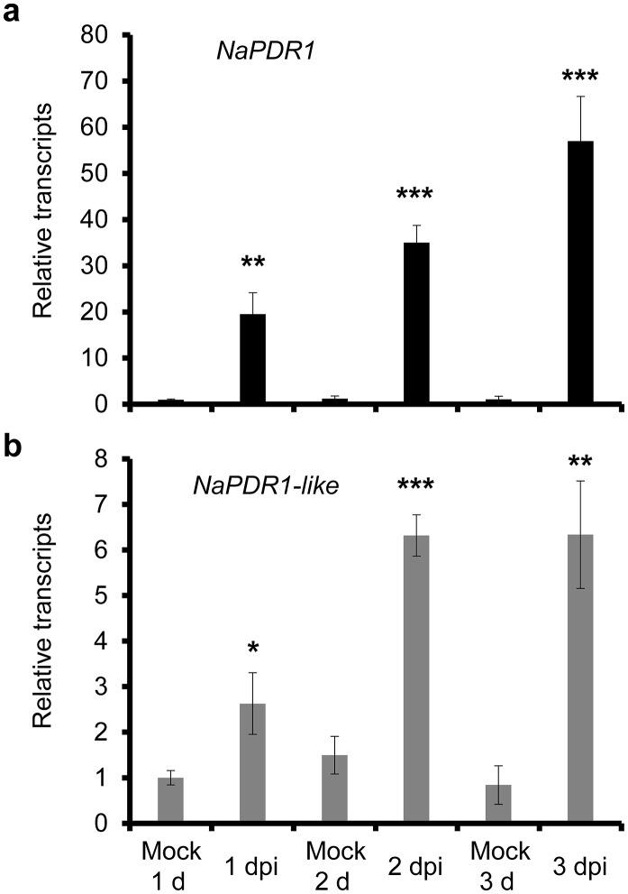 Fig. 1