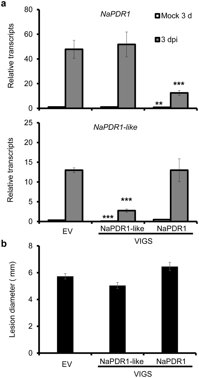 Fig. 2