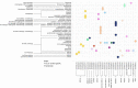 Display planned or ongoing combination partners which are combined with indicated molecules. Each combination is also linked to the clinical trial number. The combination partners are clustered in groups by function.