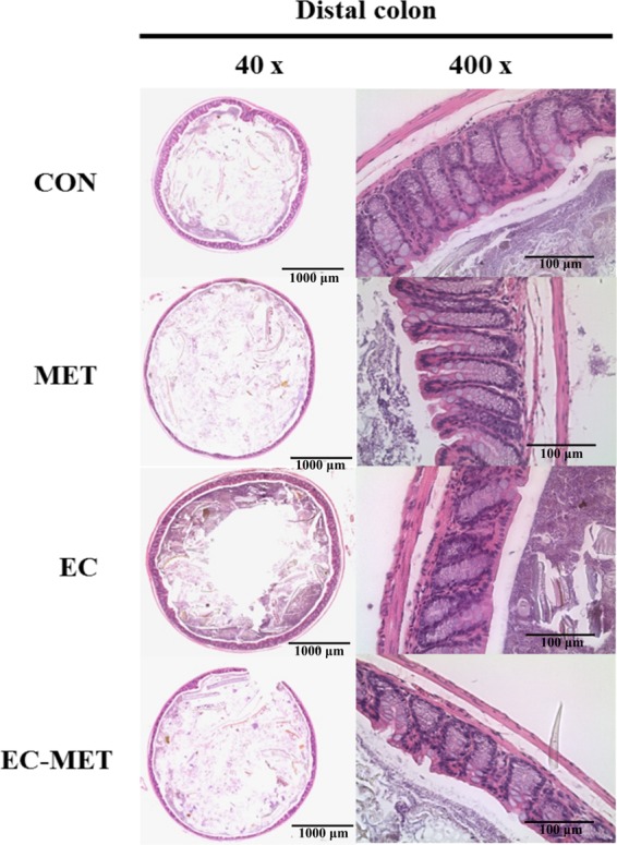 FIG 6