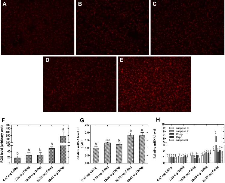 Figure 4