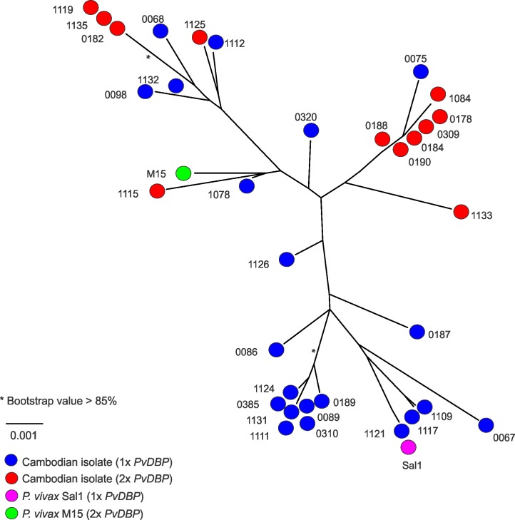 Fig 2