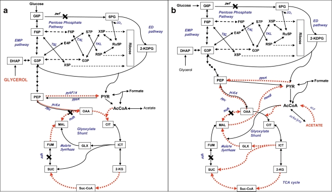 Fig. 3