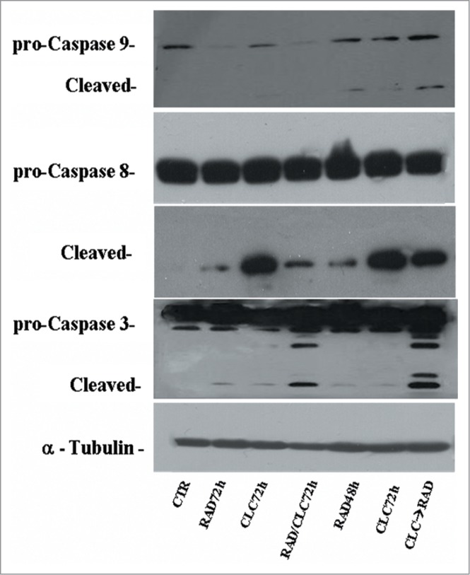 Figure 9.