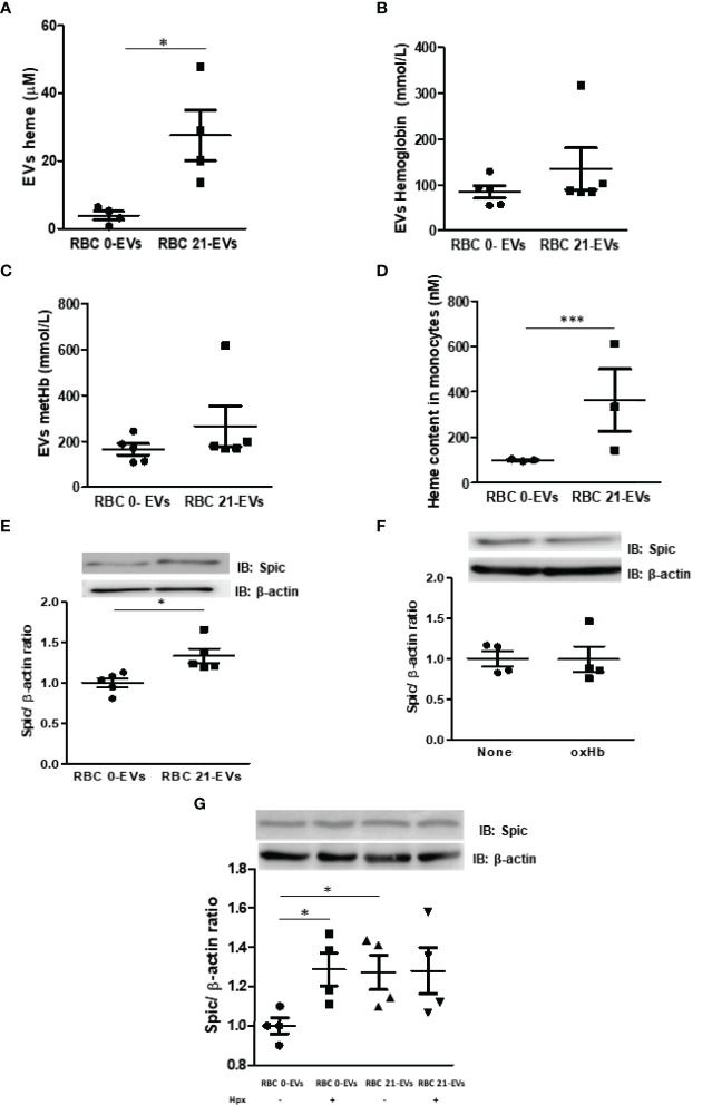 Figure 5