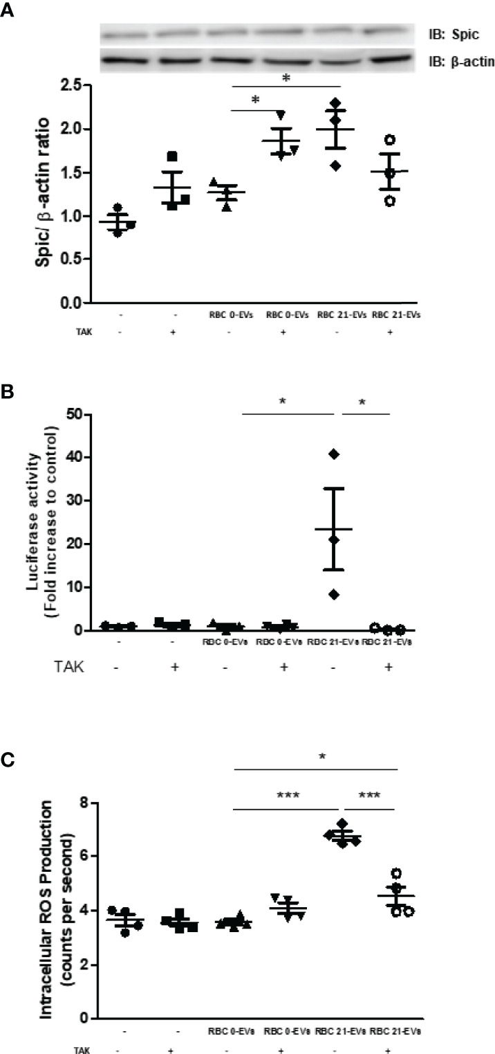 Figure 6