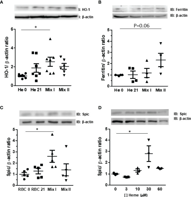 Figure 4