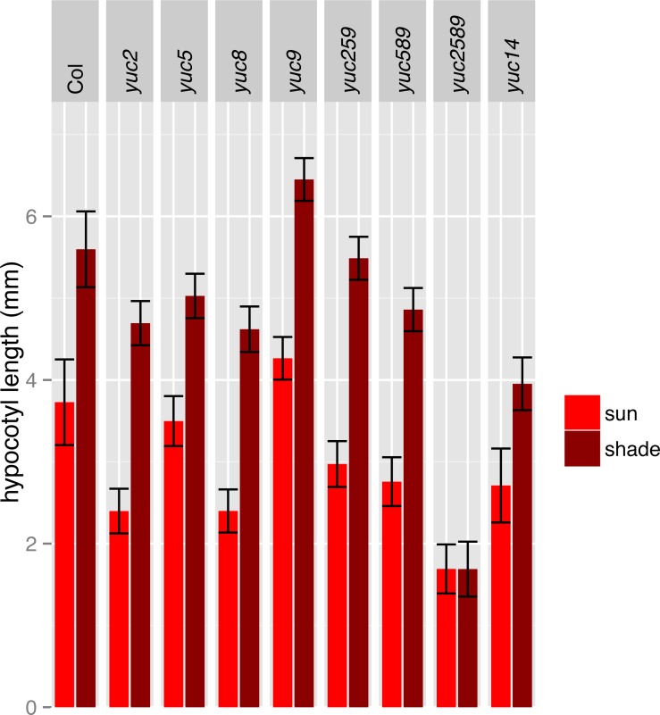 Figure 5