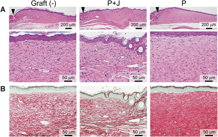 Figure 10.