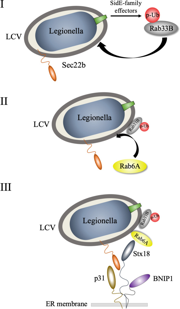 Fig 6