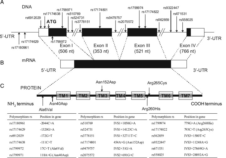 Figure 1.