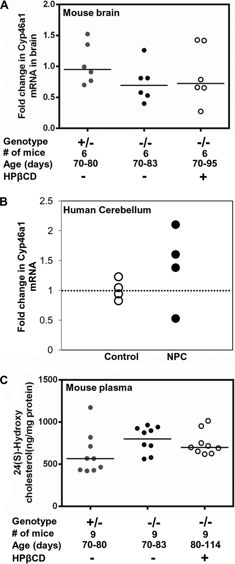 FIGURE 10.