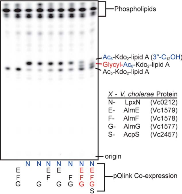 Figure 4.