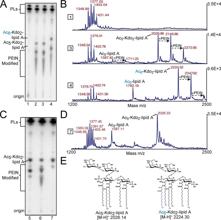 Figure 3.