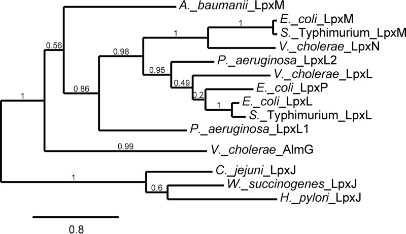 Figure 6.