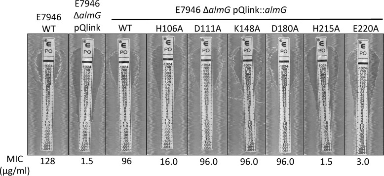 Figure 7.