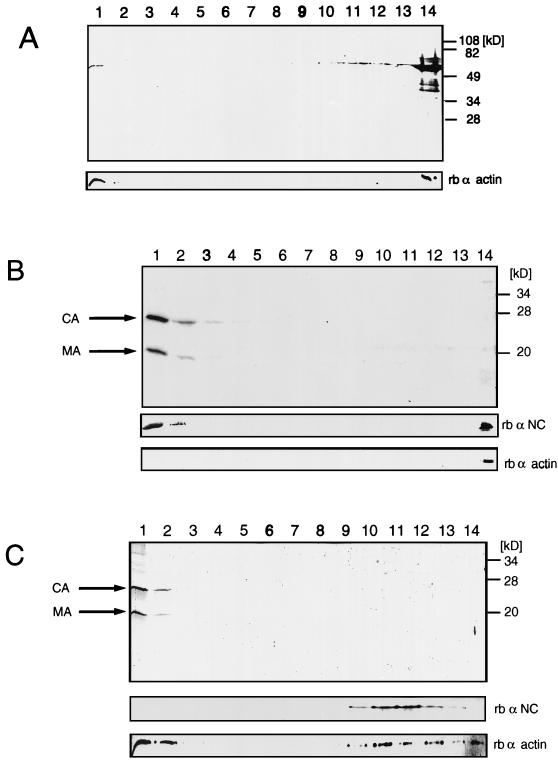 FIG. 5