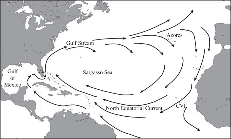 Figure 1.