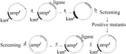Figure 4.