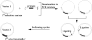 Figure 1.