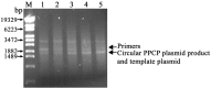 Figure 3.