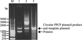 Figure 2.