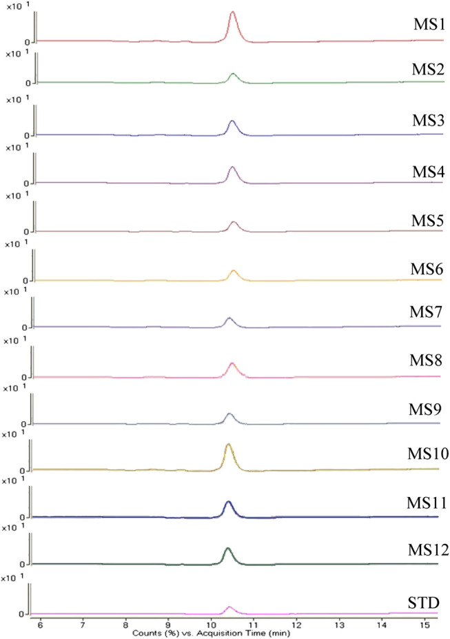 FIGURE 6