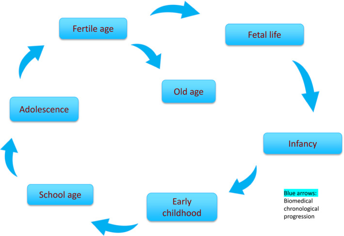 FIGURE 1